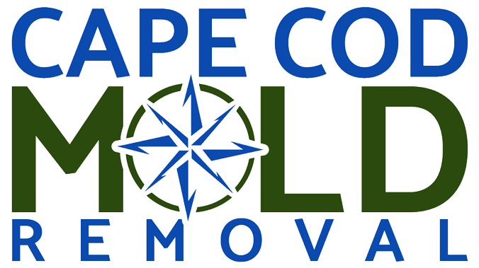cape cod mold removal 21